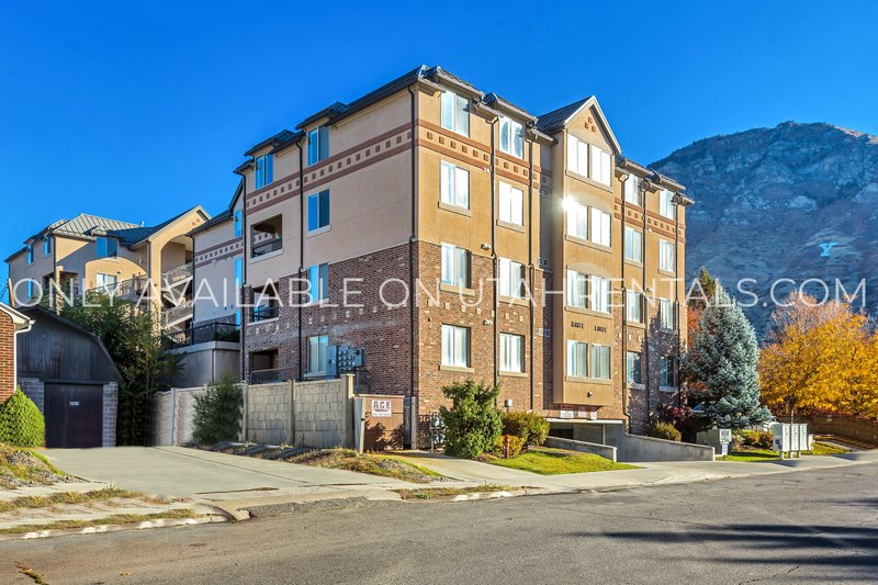 4 Private Rooms Available at Lanai property image