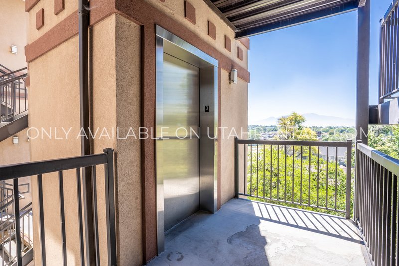 Three Private Bedrooms Available in First Floor Apartment property image