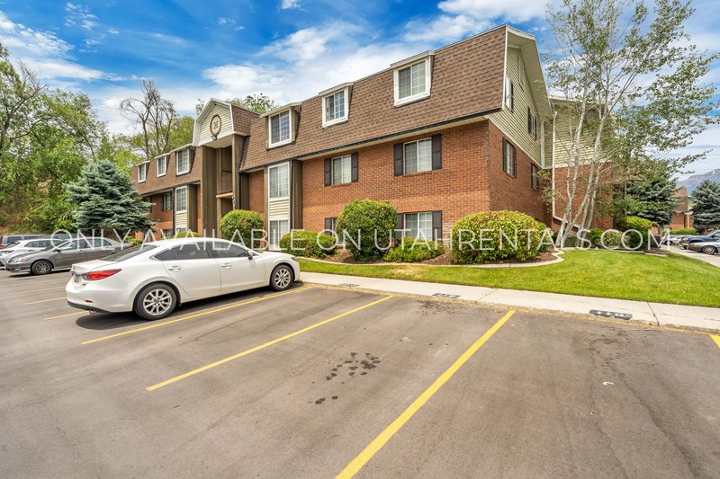 Four Private Bedrooms Available Fall 2026 at Old Mill! property image