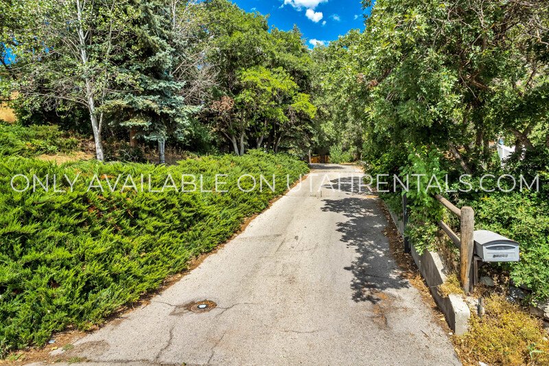 Beautiful Provo Home! property image