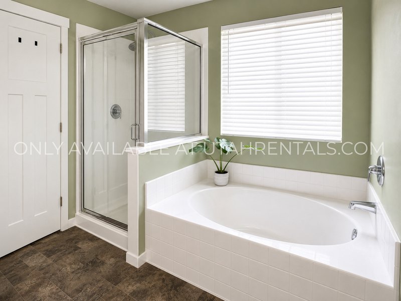 Beautiful Saratoga Springs home! property image