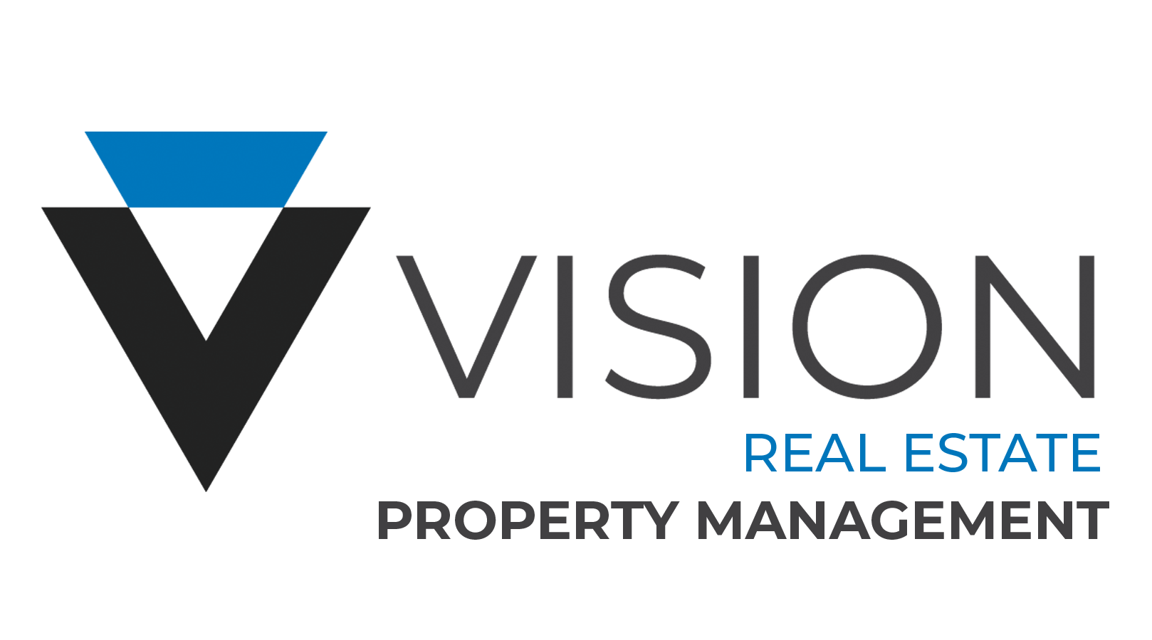 Vision Real Estate Logo
