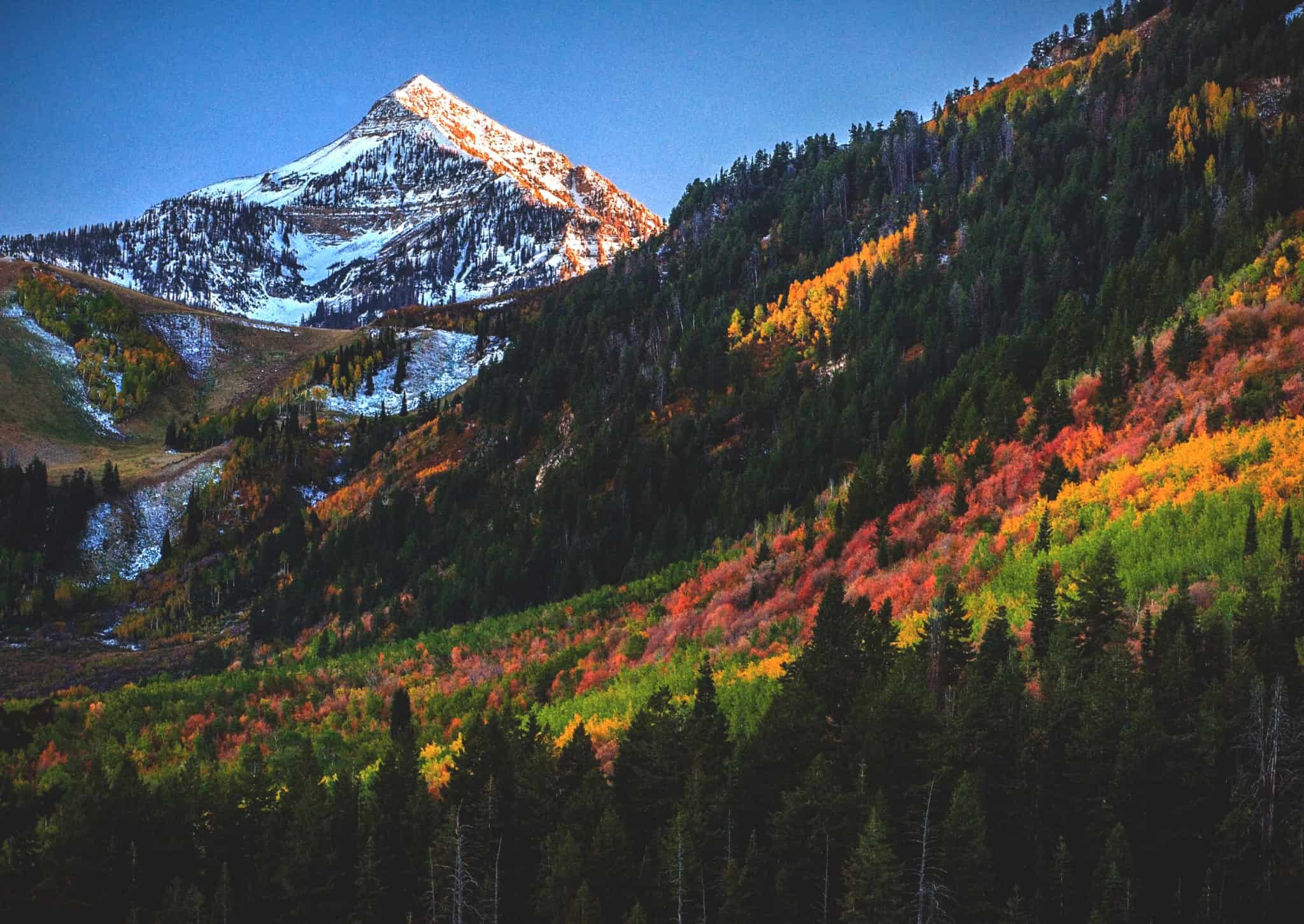 American Fork Property Management