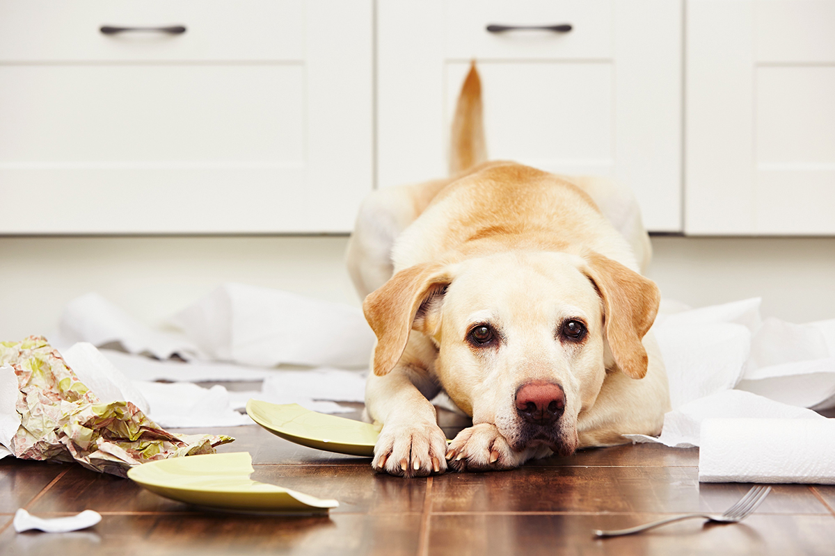 Property Management Blog